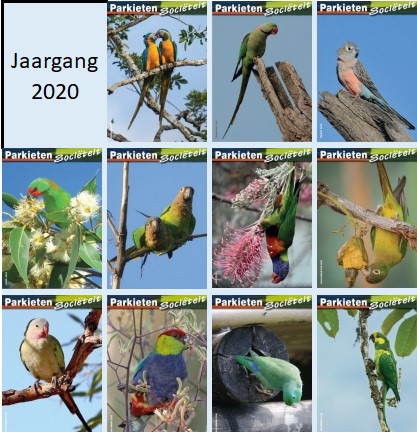 Jaargang 2020