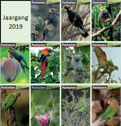 Jaargang 2019